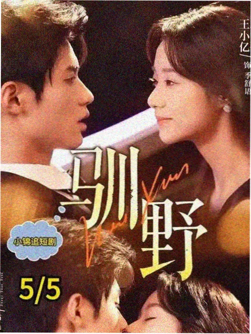 无声证人 电视剧海报 悬疑解谜封面
